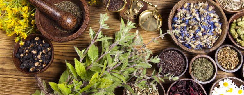 Herbs Dietary Supplement Herbalism Medicine Pharmaceutical Drug PNG