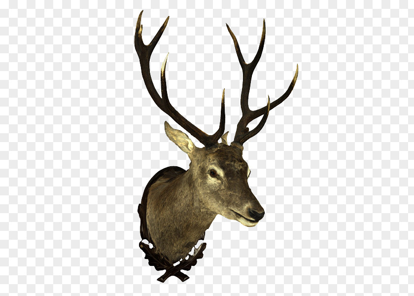 Reindeer Virtual Reality 3D Computer Graphics Modeling Scanner PNG
