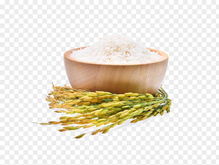 Rice Brown Oryza Sativa White Cereal PNG