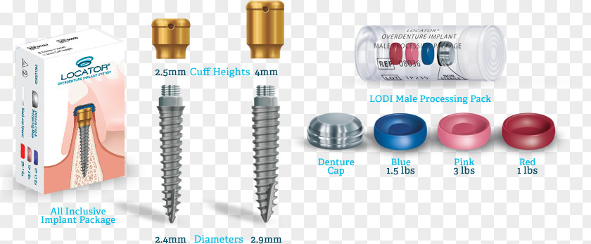 Structural Combination Dental Implant Abutment Dentures Dentistry PNG