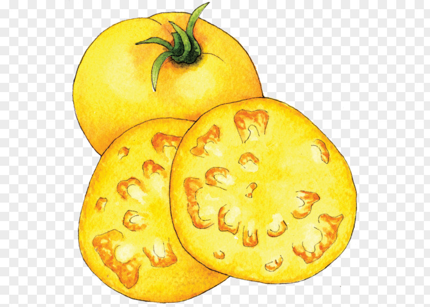 Summer Squash Cucurbita Winter Food Calabaza Vegetarian Cuisine PNG