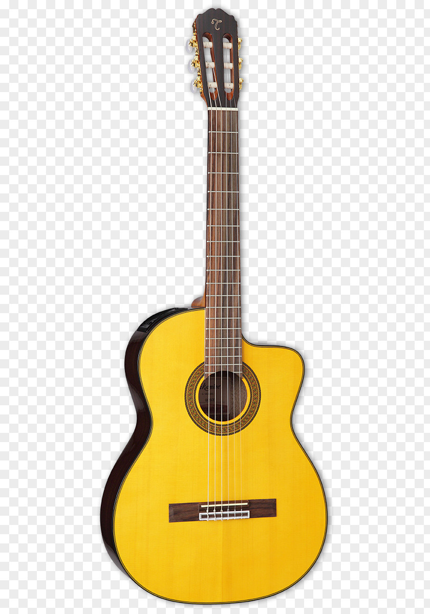 Takamine Acoustic Guitar Classical Guitars Cutaway Acoustic-electric PNG