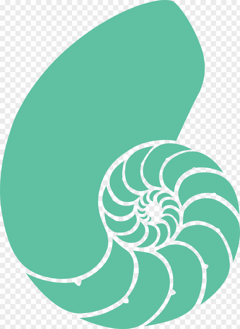 Snail Seashell Nautilidae Clip Art PNG