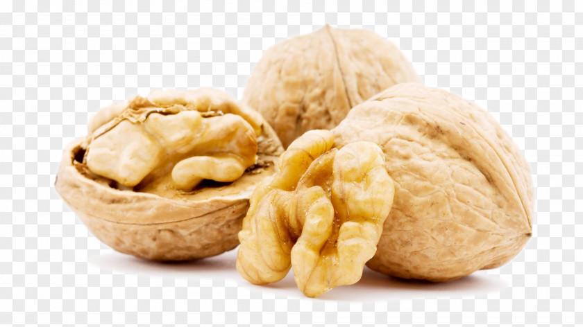 Walnut English Nuts Tree Nut Allergy PNG