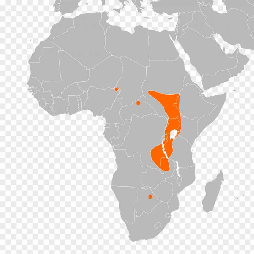 World Map North Africa Central West East Equatorial PNG