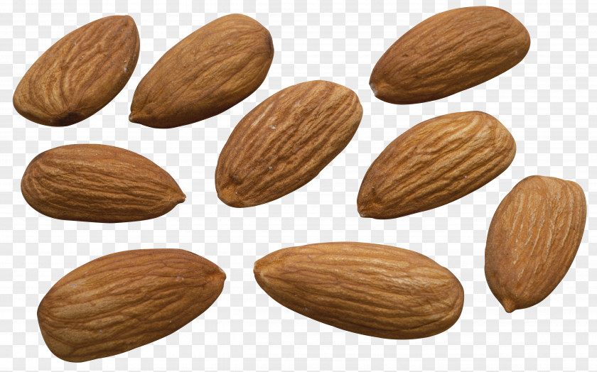 Almond Nut Biscuit Apricot Kernel Food PNG