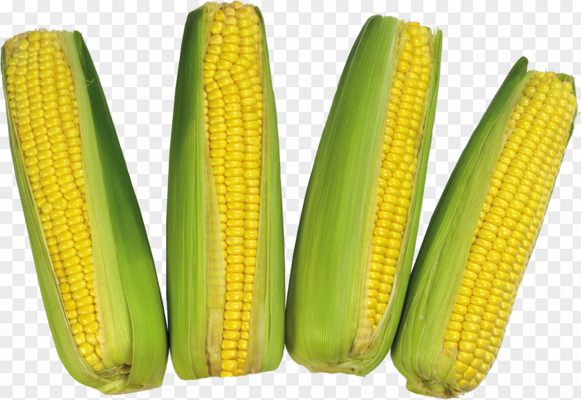 Corn Image On The Cob Commodity Sweet Maize PNG