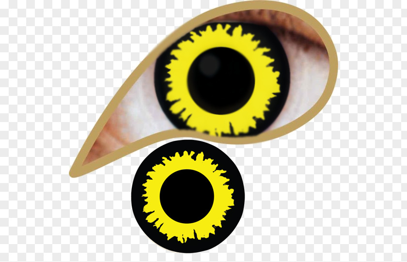 Wolf Eye Contact Lenses Dioptre Blindness Photography PNG