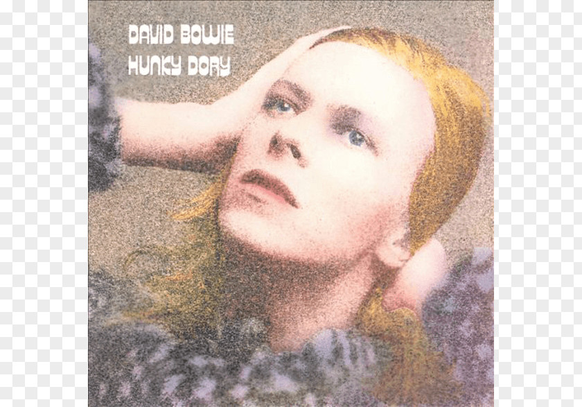 Ziggy Stardust And The Spiders From Mars David Bowie Hunky Dory Rise Fall Of LP Record Phonograph PNG