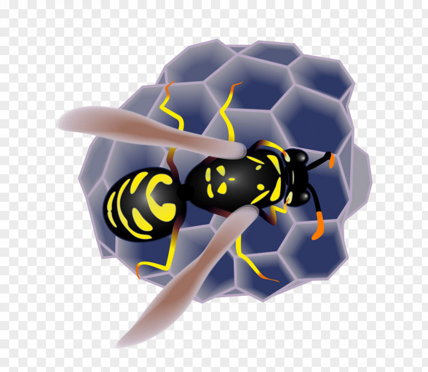 Bee And Nest Honey Insect Honeycomb PNG
