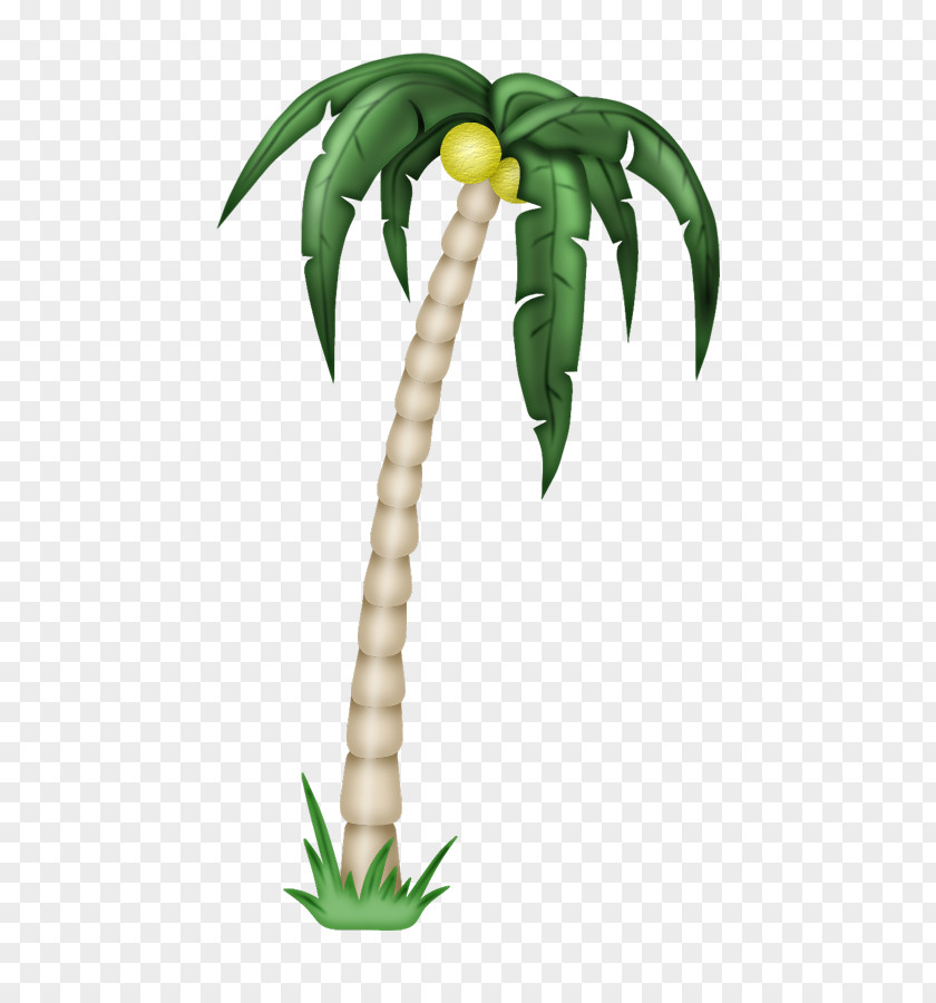 Coconut Tree Leaf PNG