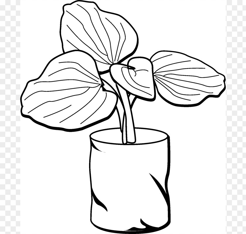 For Get Me Not Floral Design Cut Flowers Plant Stem Leaf Line Art PNG