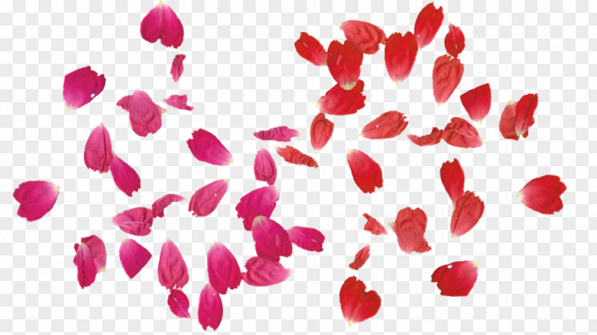 Free Rose Pictures Leaf Clip Art PNG