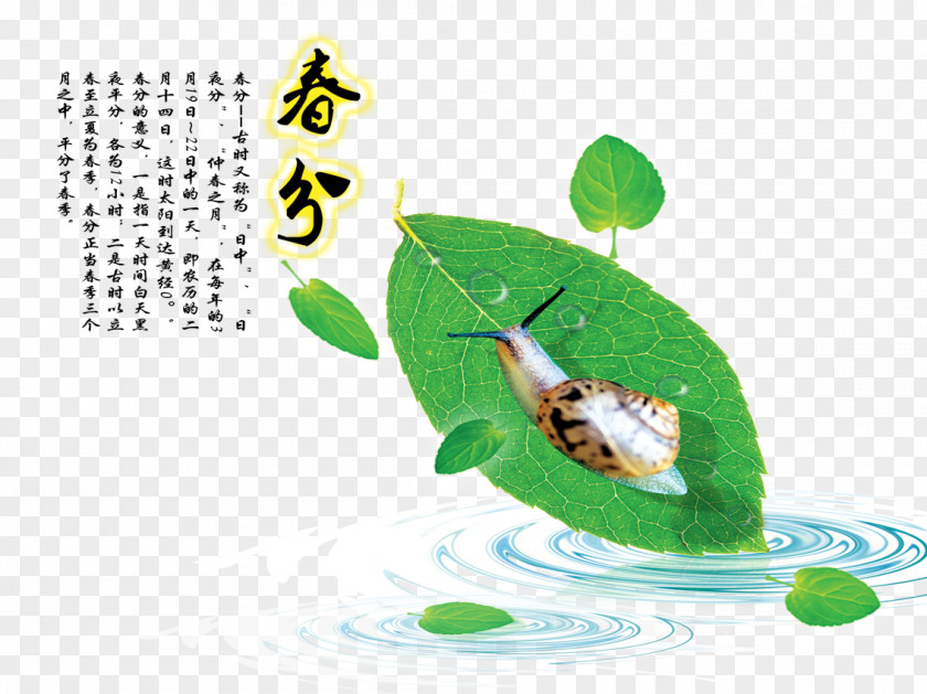 Spring Section Of The Cents Picture Chunfen Illustration PNG