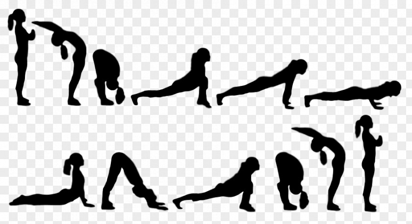 Sun Salutation Exercise Yoga Asana Physical Fitness Body PNG