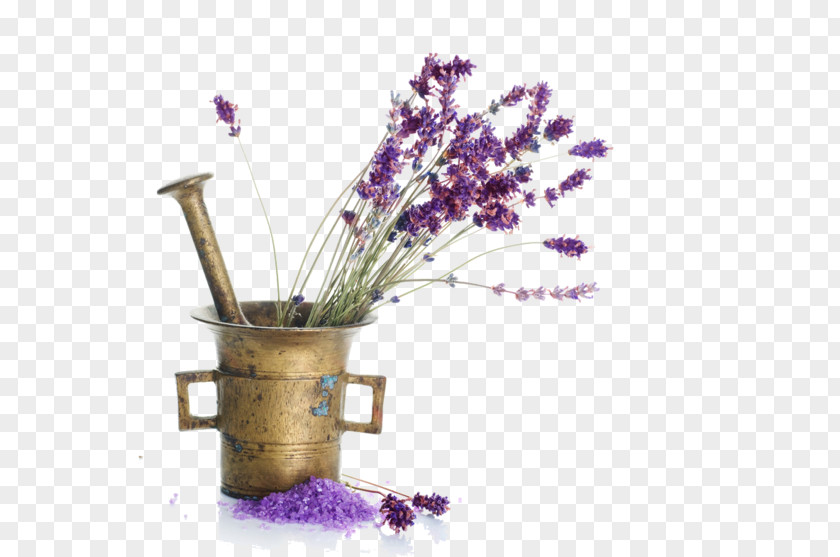 лаванда Thai Foot Spa English Lavender Oil Cream Anesthetic PNG