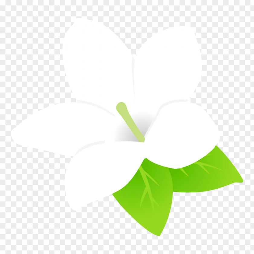 Anthurium Logo Green Leaf White Plant Line PNG