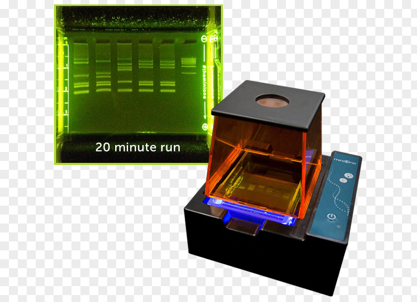 Gel Electrophoresis Embi Tec PNG