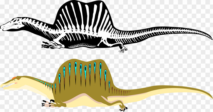 Jurassic Park Spinosaurus Tyrannosaurus Dinosaur Therizinosaurus Acrocanthosaurus PNG
