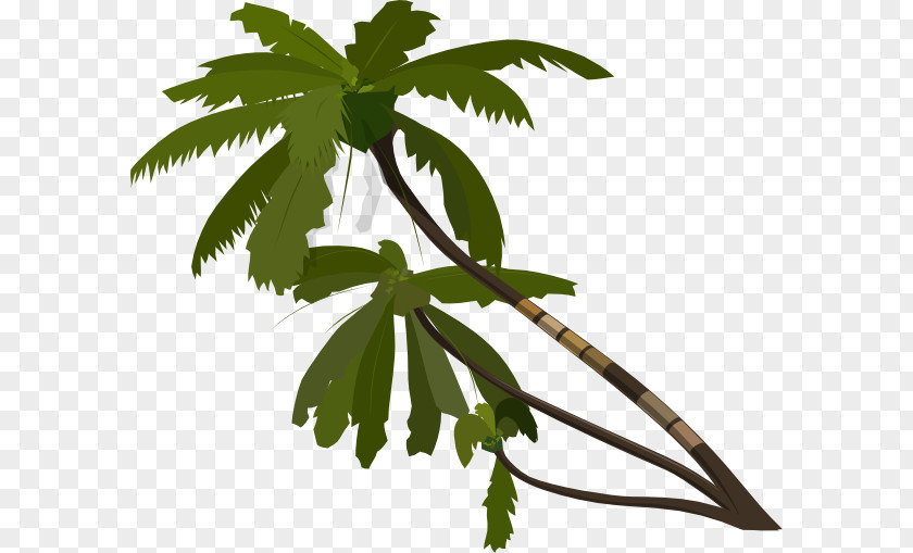 Palm Leaves Arecaceae Tree Clip Art PNG