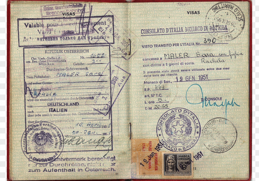 Passport Identity Document Travel PNG