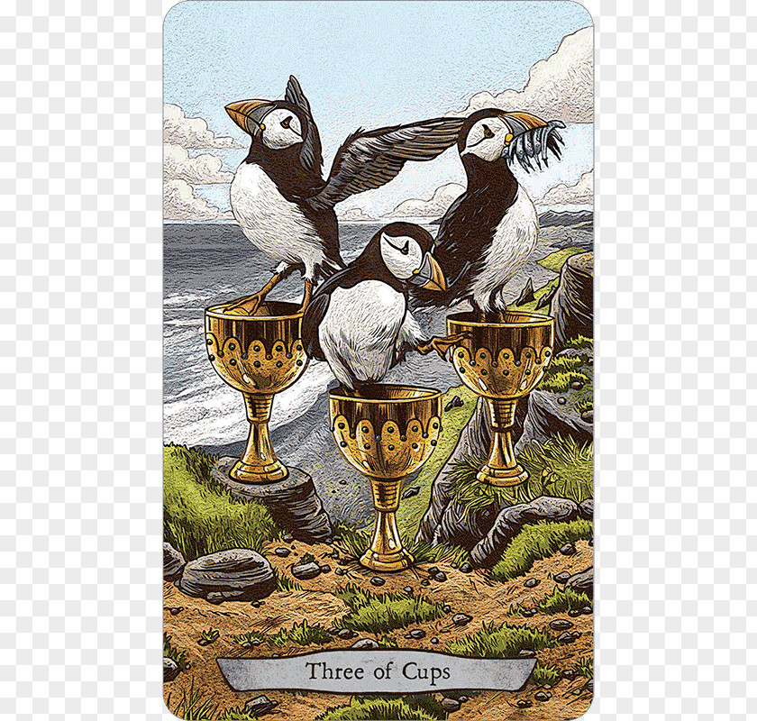 Pathfinder French Tarot Animal Totem Playing Card PNG