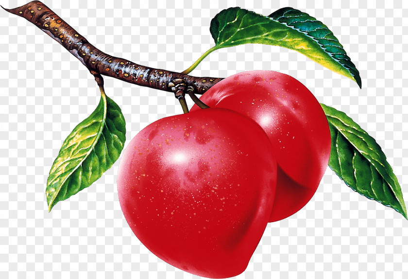 Plum Fruit Desktop Wallpaper Food Apple PNG