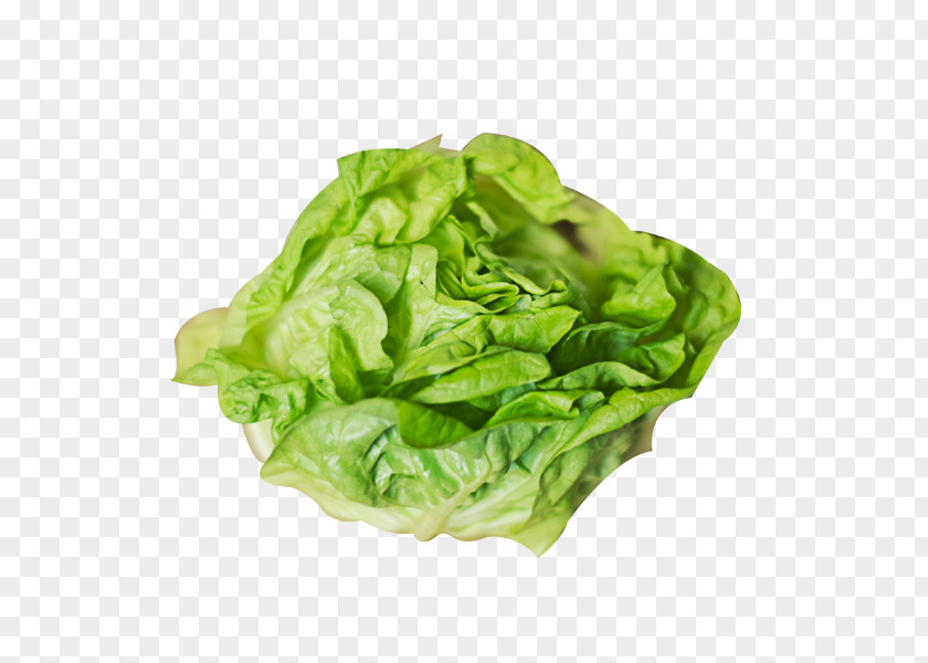 A Cabbage Smoothie Lettuce Soup Centers For Disease Control And Prevention PNG