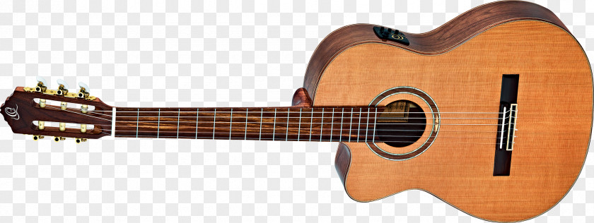 Acoustic Guitar Taylor Baby Mahogany Guitars PNG