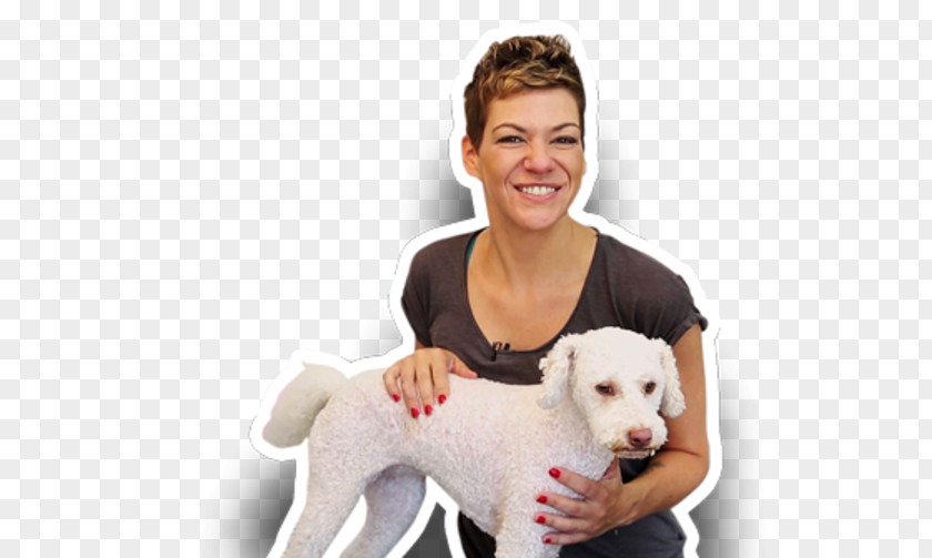 Dog Breed One Hair GmbH Companion Puppy PNG