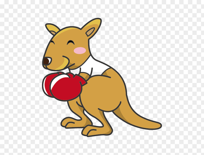 Hand Painted Kangaroo Drawing Boxing Dessin Animxe9 PNG