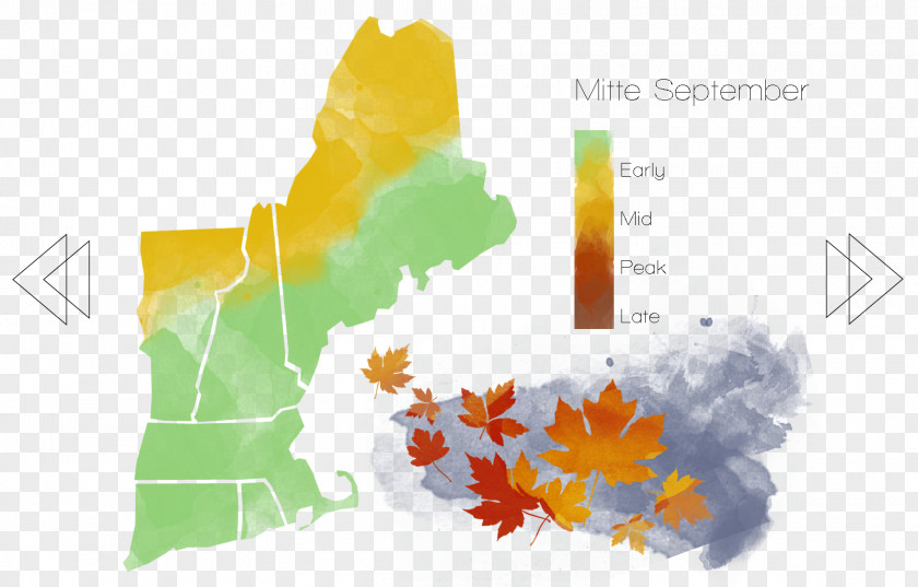 Orange Indian Summer Autumn Yellow PNG