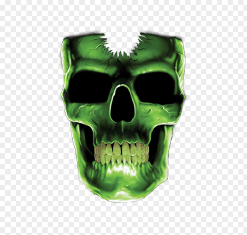 Skull Human Symbolism T-shirt Green And Crossbones PNG