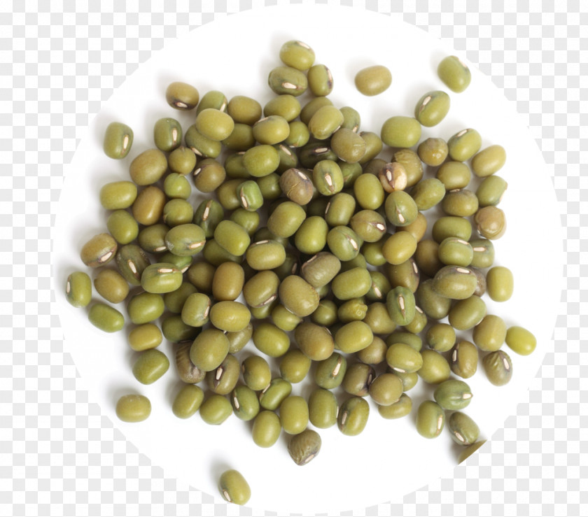 Beans Mung Bean Broad Food Nutrition Facts Label PNG