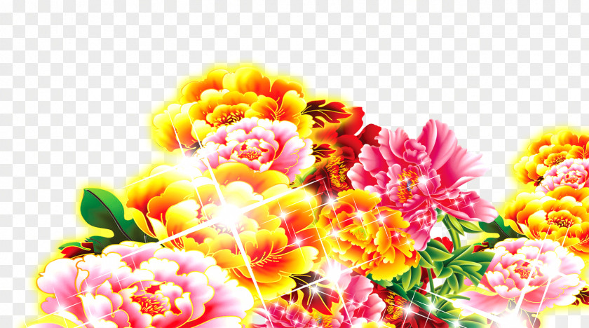Flash Flowers Floral Design Flower Download PNG