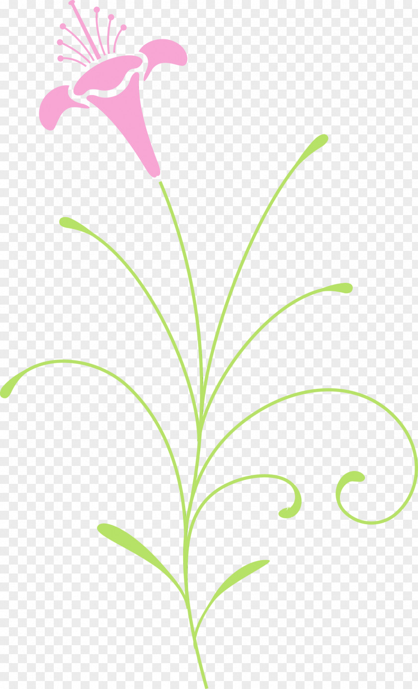 Leaf Flower Plant Stem Pedicel PNG