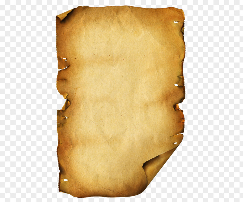 Sheep Paper Parchment Scroll PNG