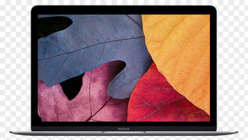 Macbook MacBook Pro Air Laptop Apple PNG