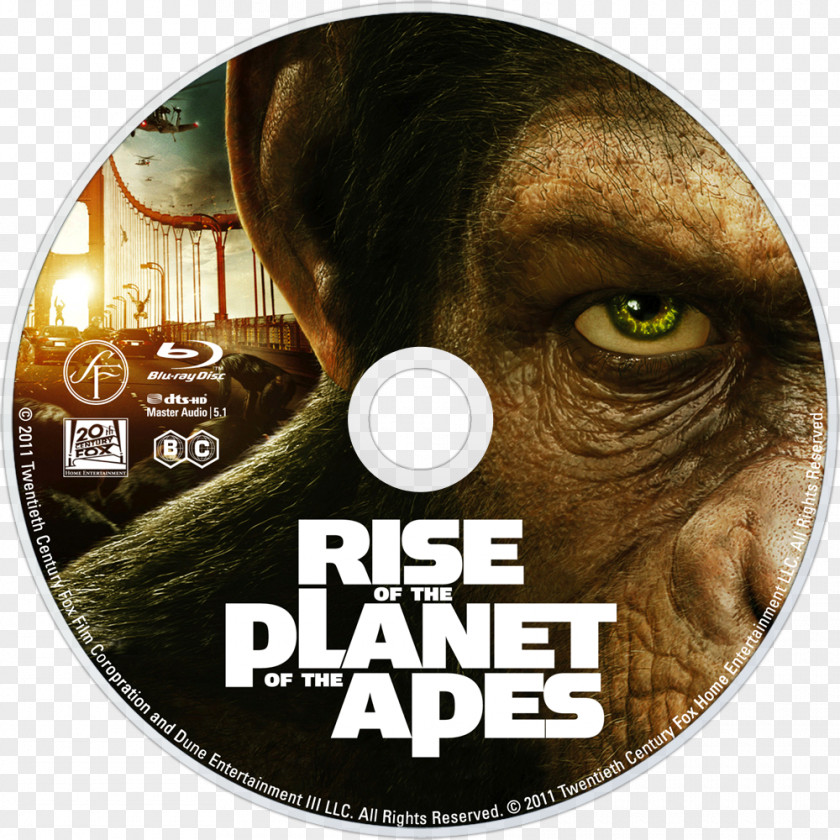 Planet Of The Apes El Planeta De Los Simios Blu-ray Disc Film 0 PNG