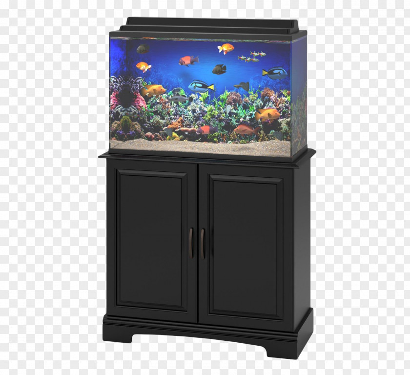 Aquarium Fish Tank PNG