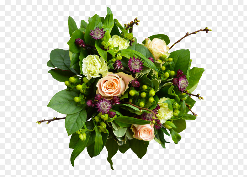 Flower Floral Design Cut Flowers Bouquet Great Masterwort PNG