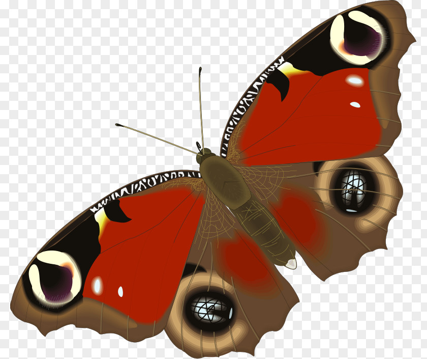 Free Insect Photos Butterfly Animation Aglais Io Clip Art PNG