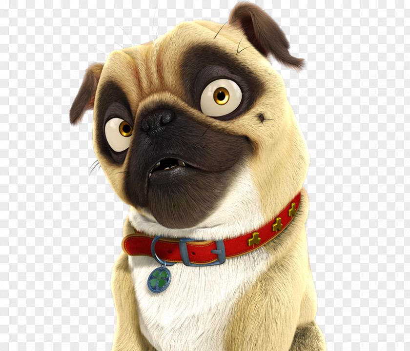 Job YouTube Pug Surly Film PNG