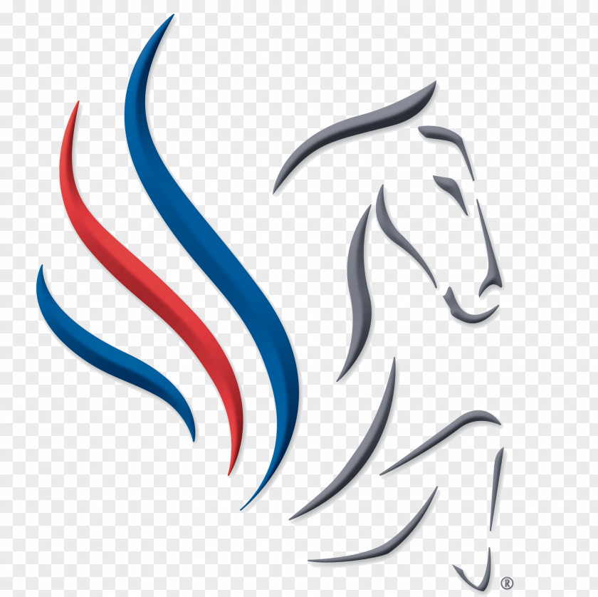 Pegasus United States Equestrian Federation Horse Non-profit Organisation PNG