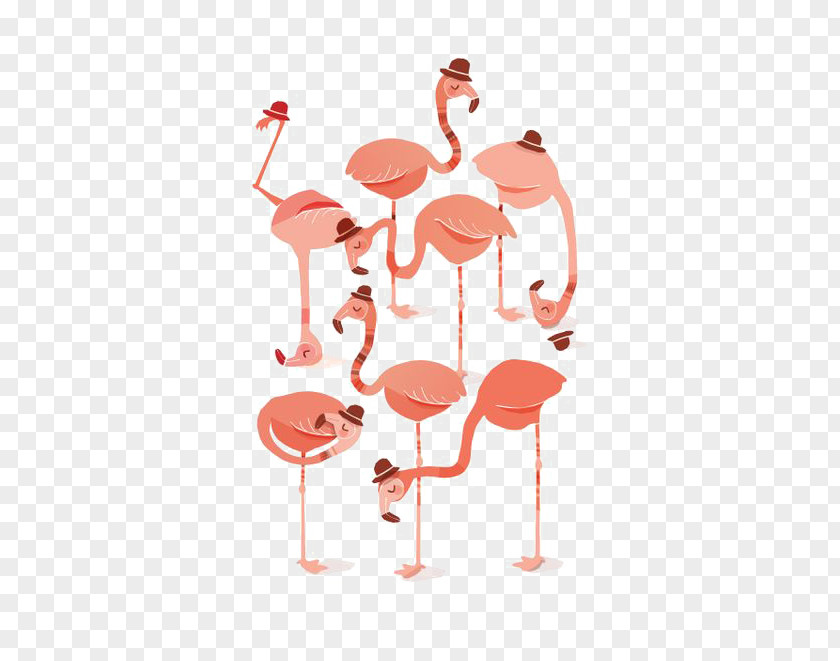 Toon Flamingo Pink Illustration PNG