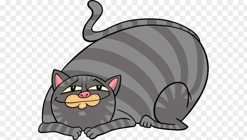 Vector Cute Big Cat Fat Tabby Kitten Royalty-free Illustration PNG