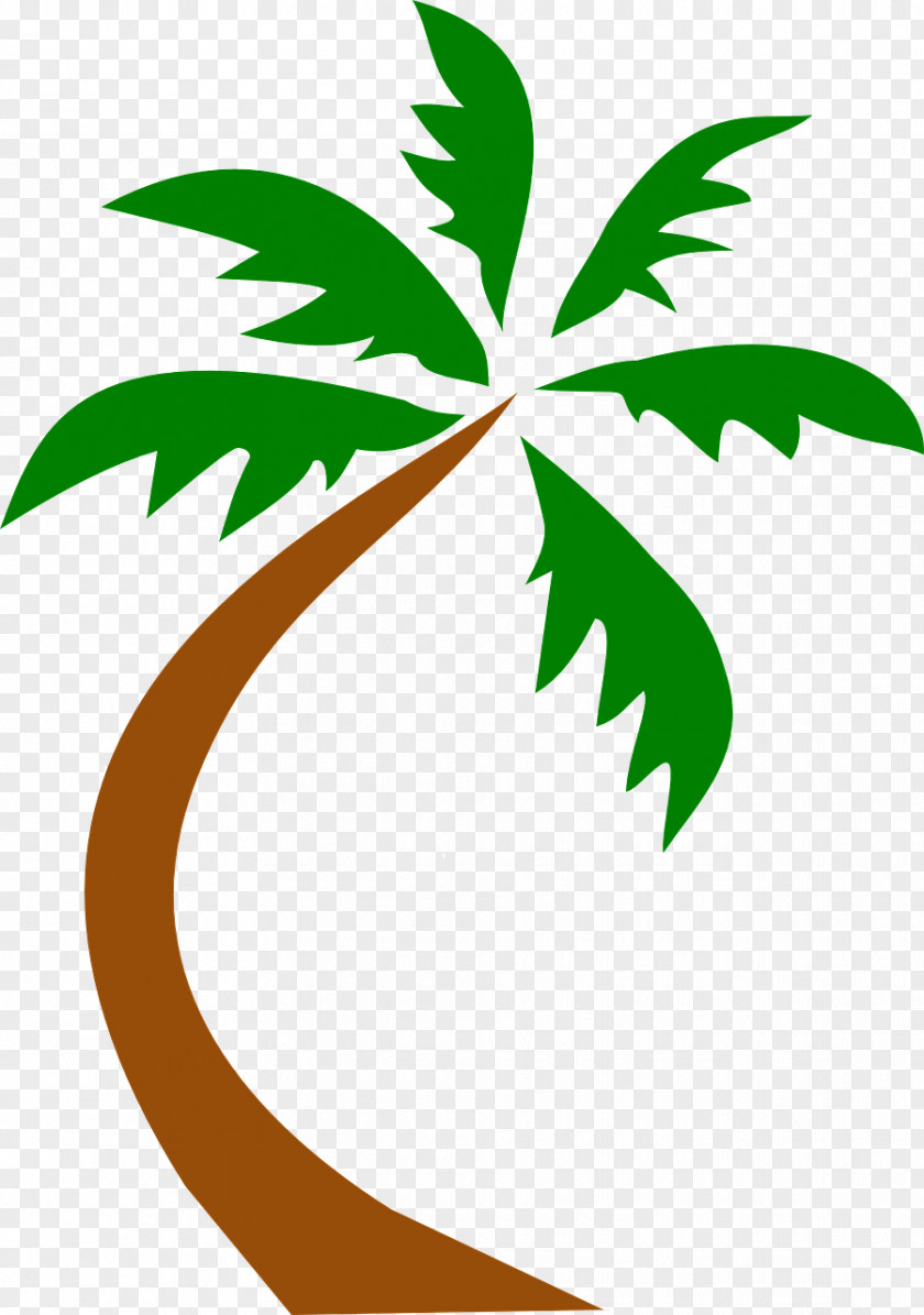 Beach Arecaceae Hawaii Tree Carib Shack PNG