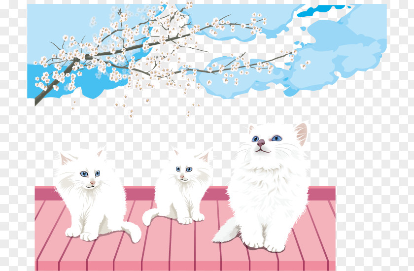 Cherry Trees Cute White Cat Persian Project Congenital Sensorineural Deafness In Cats PNG