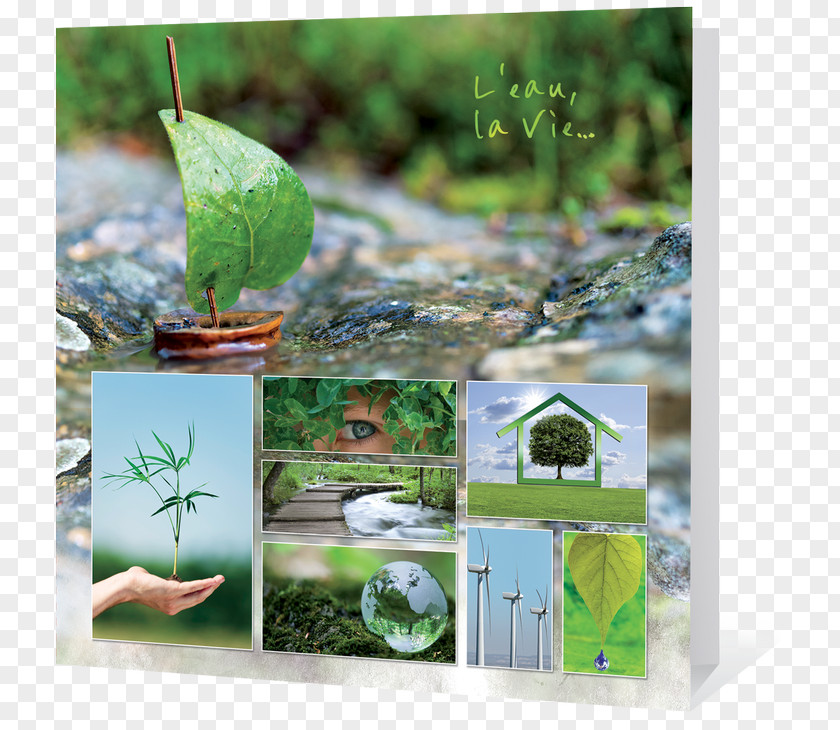 Double Version Ecology Greeting & Note Cards Nature Environmental Protection Natural Environment PNG
