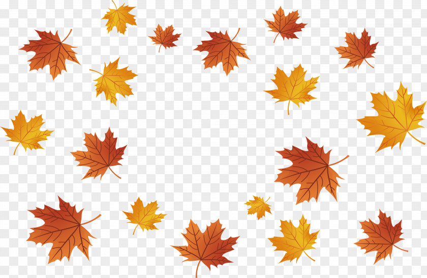 Maple Leaves Falling Leaf PNG
